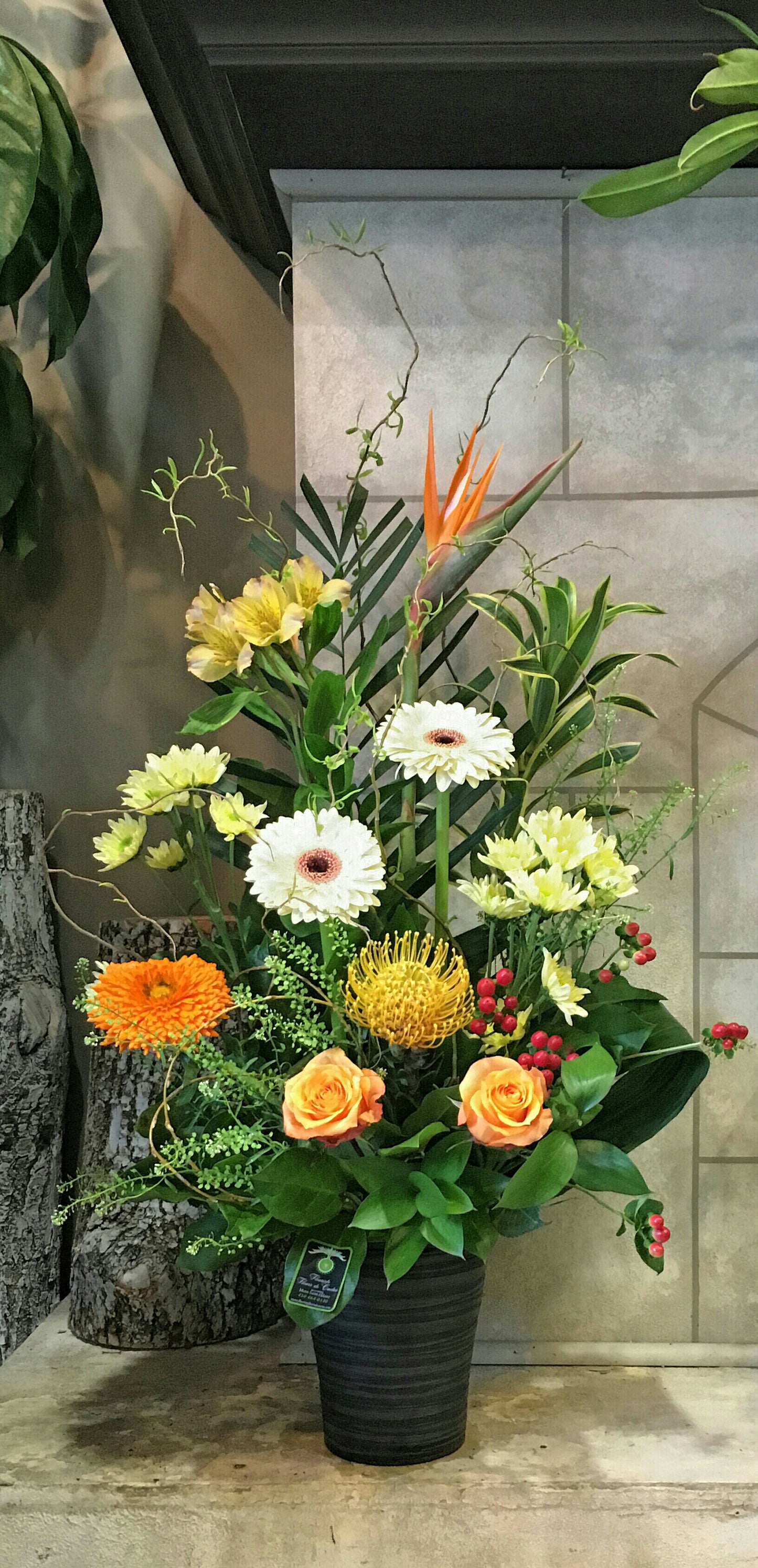 Doux Souvenirs