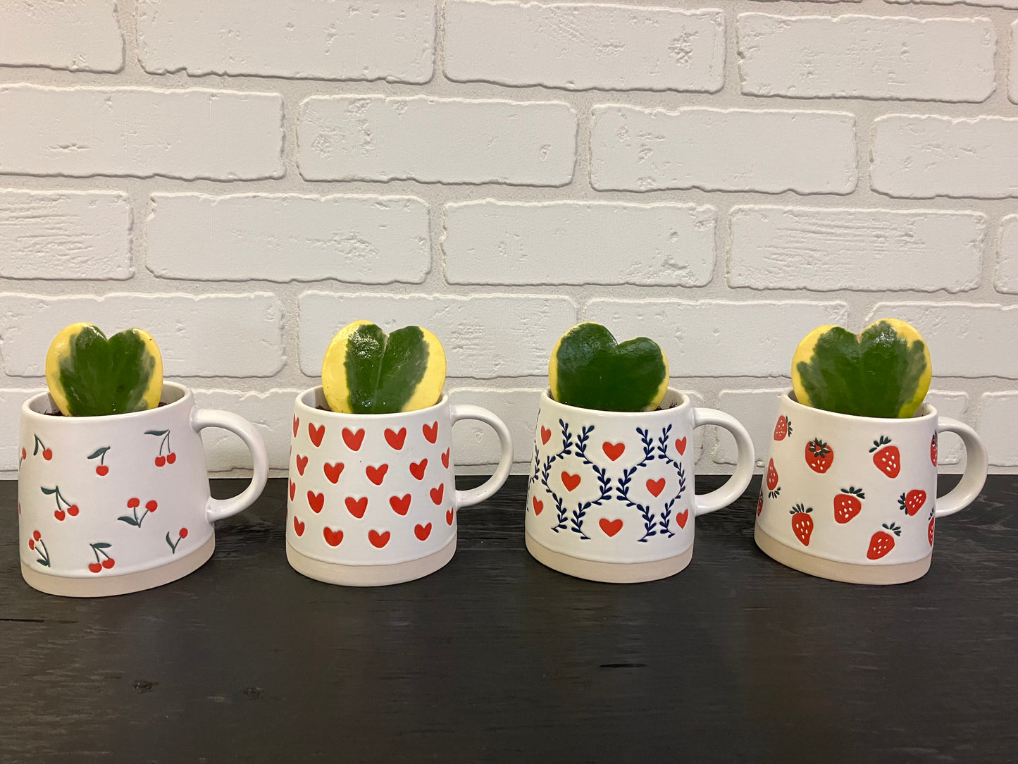 Hoya Kerrii en tasse