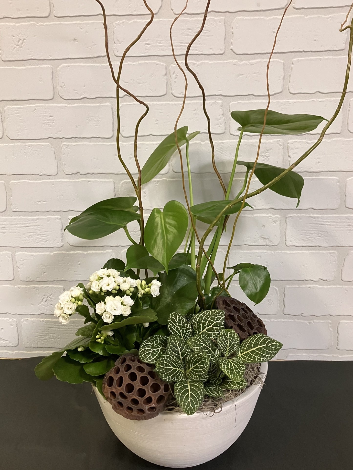 Jardin de plante (Choix du moment)