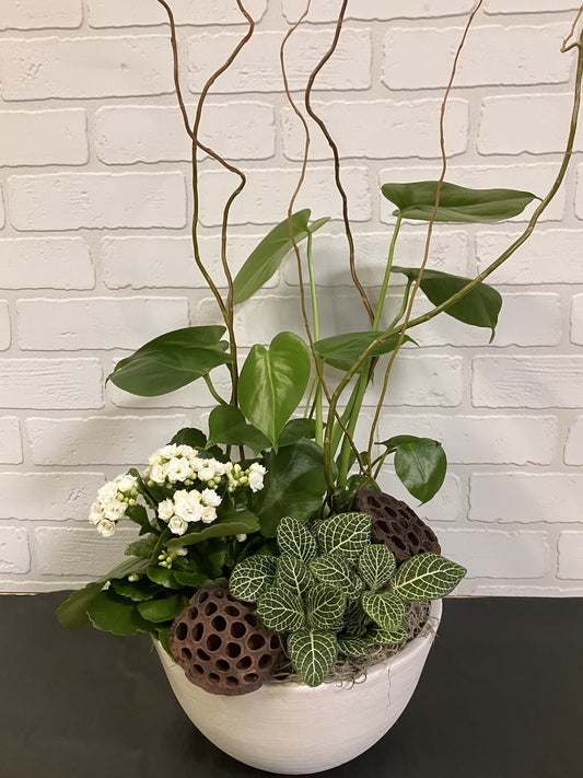 Jardin de plante (Choix du moment)