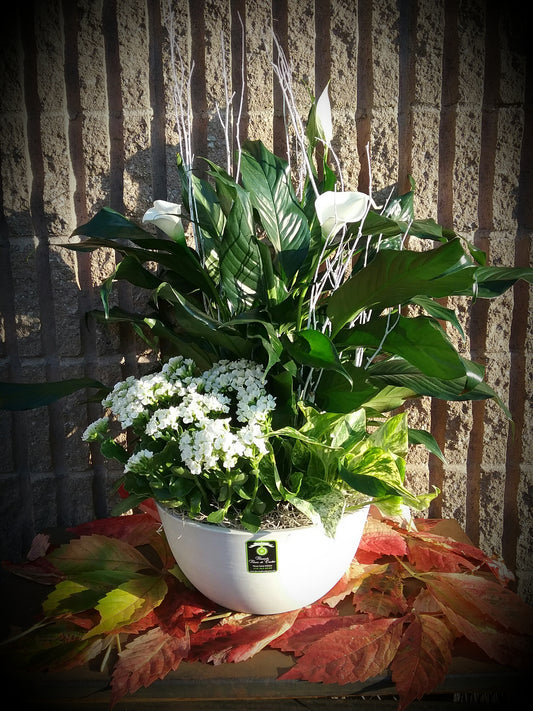 Jardin Blanc