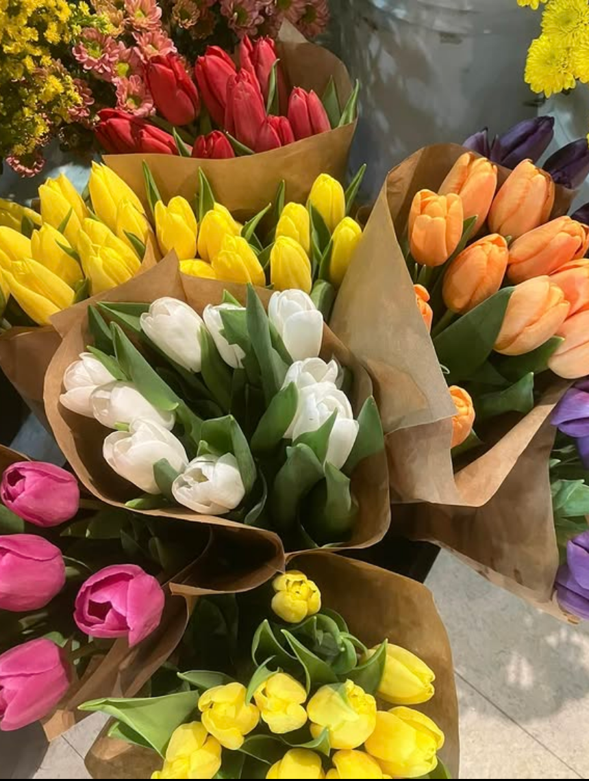 Bouquet de tulipes (10)
