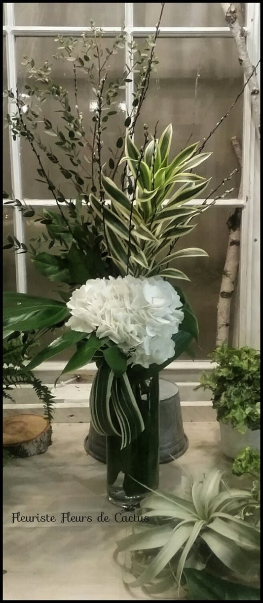 Hydrangea
