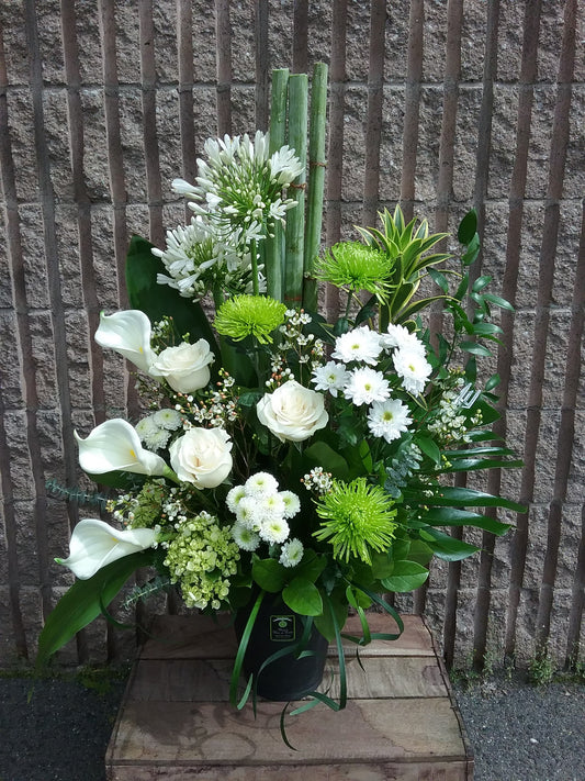 Blancheur Céleste