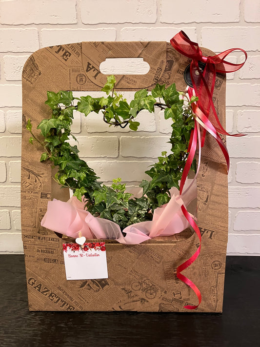 Plante lierre en coeur